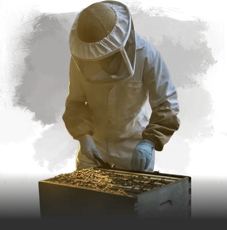 The beekeeper maintains the hive -ExportSet