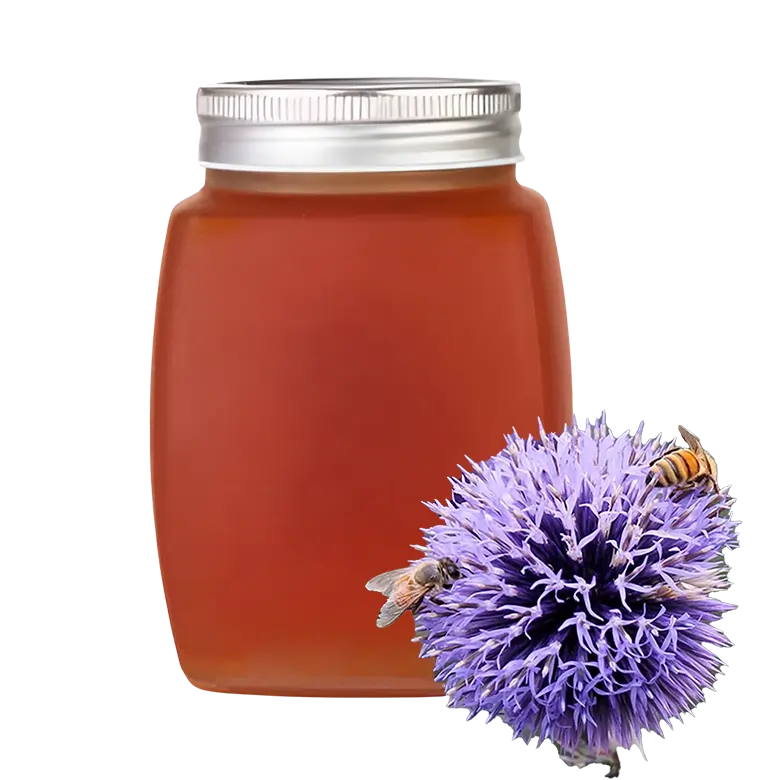 The nectar of Echinops flowers attracts bees, and as a result, they produce honey from this plant. This honey has an amber color -ExportSet