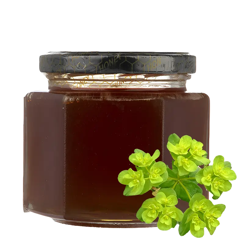 Bees use the nectar from the euphorbia plant to produce euphorbia honey. The color of this honey is dark -ExportSet