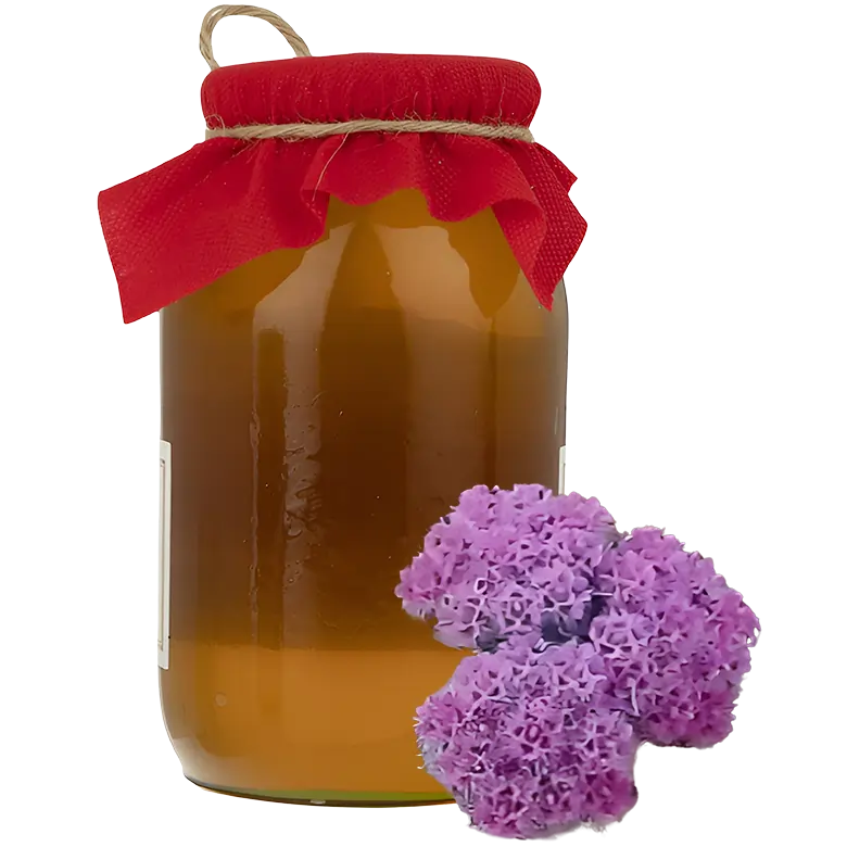 Oliveia Decumbens Vent is a fragrant, wild plant from which the bees collect nectar to produce Oliveia Decumbens Vent honey. The color of this honey is dark amber -ExportSet